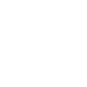 PPC Page Icons-01