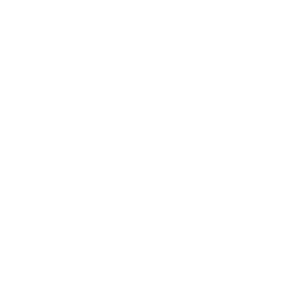 PPC Page Icons-02