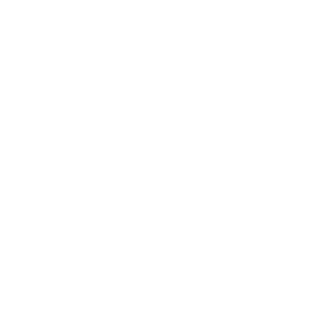 PPC Page Icons-03