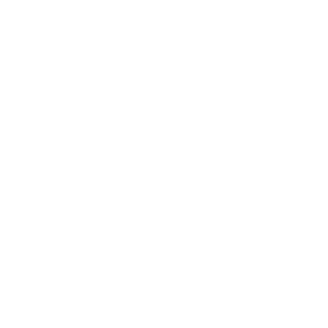 PPC Page Icons-04